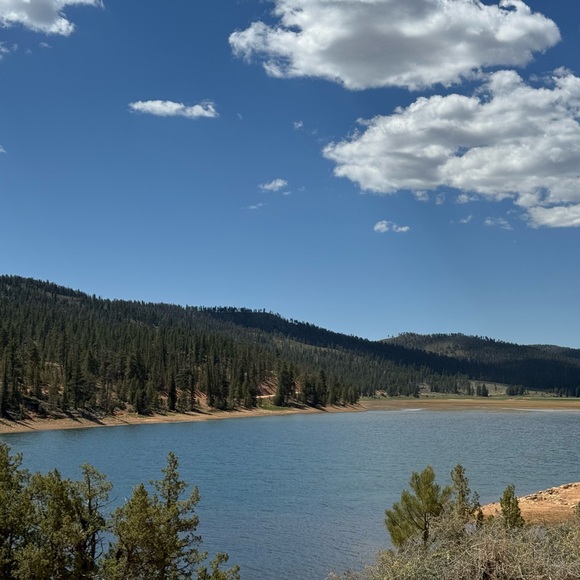 $30 ❤️ 1-99 LIVE SHOW’S TUESDAY, THURSDAY , SATURDAYS & SUNDAYS 2PM-10PM MST! - Picture 5 of 13